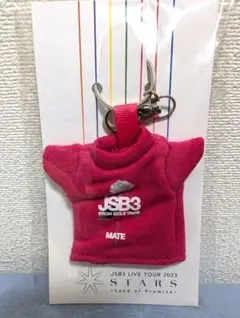 ★ 即購入⭕️ 三代目JSB 岩田剛典タペストリー ！ 2026年最新】岩田剛典の人気アイテム - メルカリ