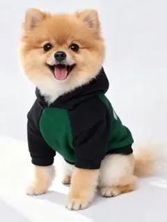 Item thumbnail for item 8bc85a35-ee04-4e38-ac19-fd31e8d0a2e4