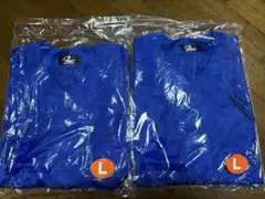 Item thumbnail for item 44d8532a-9831-4aa3-985a-855423806a7a