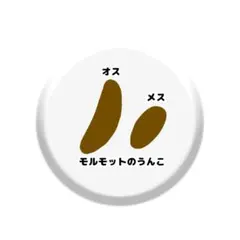 あまなつ様 リクエスト 2点 まとめ商品
