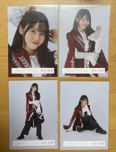 向井純葉　生写真