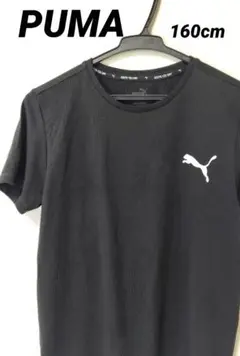 PUMA プーマ Tシャツ 160cm ブラック 速乾 ドライ素材 運動着