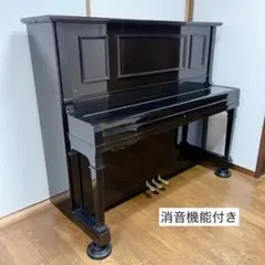 【超希少】 DIAPASON ディアパソン 132-GW 総アグラフモデル 美品 超希少】 DIAPASON ディアパソン 132-GW 総アグラフモデル 大橋ピアノ