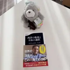 西洋の敗北 文学・小説