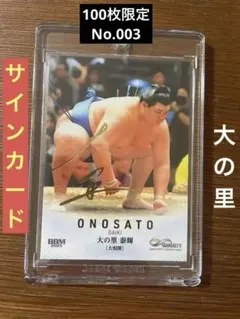 Item thumbnail for item add4c778-0c41-4961-b81f-9f9e4597e40c