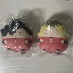 【翌日発送可】ハイキュー!!ぬいくじ E賞 音駒セット