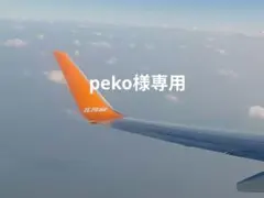 Item thumbnail for item 5faa8157-de4d-4939-b0e7-2034905cf300