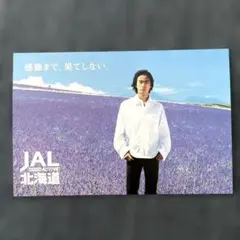 非売品 ビンテージ JAL北海道 日本航空 竹野内豊 大型ポスター 当時物 非売品 ビンテージ JAL北海道 日本航空 竹野内豊 大型ポスター