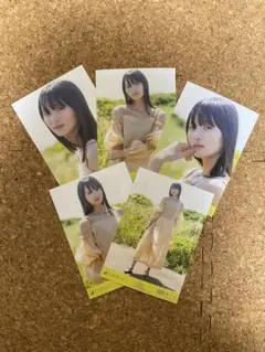 乃木坂46 遠藤さくら same numbers生写真