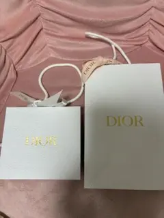 Dior ショッパー2点セット