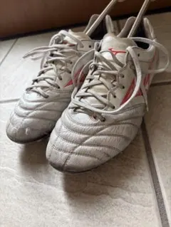 モナルシーダスパイクのサムネイル