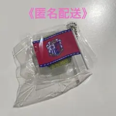 セレッソ大阪/Jリーグクラブフラッグキーチェーンコレクション