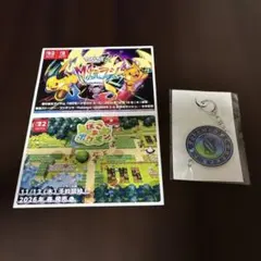 【ポケモン】メガシンカ　キーストーン風キーホルダー　ポストカード