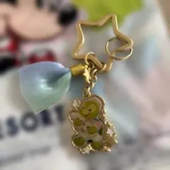 ディズニーシー限定ダッフィー&フレンズスターリードリームスキーチェーンオルメル