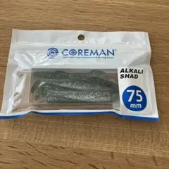 TETSU様 リクエスト 2点 まとめ商品