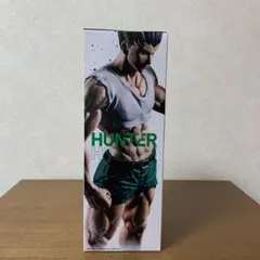 2026年最新】ハンター ハンター ゴン フィギュア プライズの人気