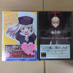 Fate Fantasm BOX 2 フロム・ザ・ダークサイド （書籍） - メルカリ