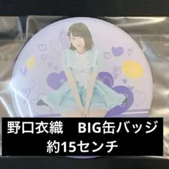 2026年最新】野口衣織 缶バッジの人気アイテム - メルカリ