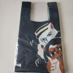 Item thumbnail for item b768de69-59b9-41a4-860e-5e3450233fbf