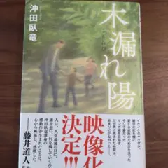 木漏れ陽