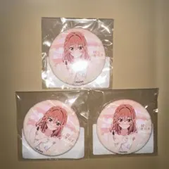 彼女、お借りします かのかり 缶バッジ 桜沢墨 11点セット - メルカリ