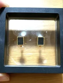 黒×ゴールド★ピアス