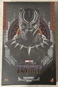ホットトイズ ブラックパンサー オリジナルスーツ