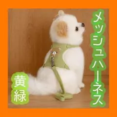 メッシュハーネス 緑 リード付き 小型犬 猫 小動物 S かわいい