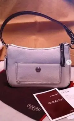 新品未使用品:COACH チェルシーレザーデミバッグ