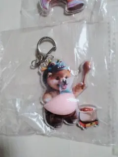 新品・未使用　お腹シール　柴犬 アクリルキーホルダー ぷにぷに　料理