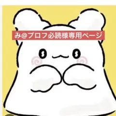 み@プロフ必読様専用ページ