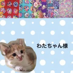 わたちゃん様 リクエスト 2点 まとめ商品