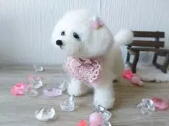 羊毛フェルト　 トイプードル 　ホワイト ピンク　犬のサムネイル