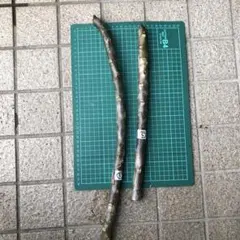 443様 リクエスト 2点 まとめ商品