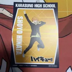 ハイキュー‼︎まねきねこ　日向翔陽