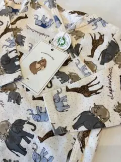 Item thumbnail for item dd6abbac-80f9-41b3-ab3c-0e3e4eedbd3c