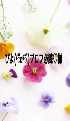 ぴよ(❛ัʚ❛ั )プロフ必読♡様専用出品になります。
