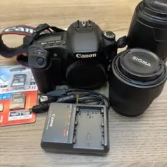 CANON EOS40D ＋ SIGMA 18-125mmF3.8-5.6セット CANON EOS40D ＋ SIGMA 18-125mmF3.8-5.6セット - メルカリ