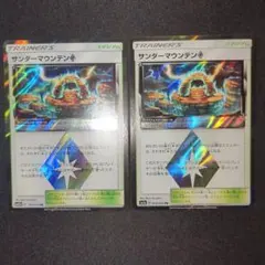 サンダーマウンテン プリズム プリズムスター 2枚