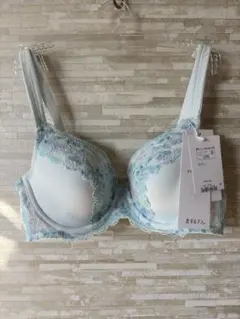 C75」トリンプ 恋するブラ613 ブラジャー ブルー