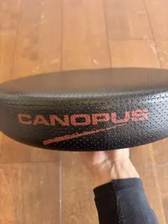 Item thumbnail for item 79a45bc9-a386-443a-862a-653a9cab53cb