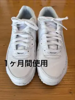 NIKE AIR MAX 90 LTR 27.5 メンズのサムネイル