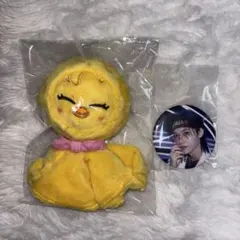 スキズ フィリックス ポガリ てるてる坊主 バッグチャーム 缶バッジ セット