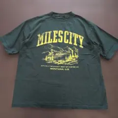 NIKO AND MILESCITY