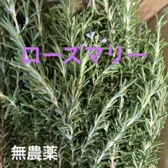 Item thumbnail for item 66932db8-fcf4-4262-9a90-e213b0db8a2c