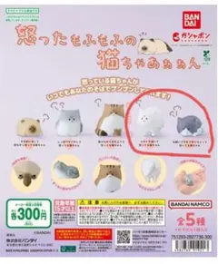 怒ったもふもふの猫ちゃあぁぁん 新品未開封