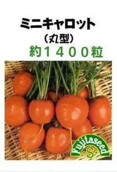 秋桜自然菜園様 リクエスト 2点 まとめ商品