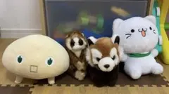 Item thumbnail for item 0367f743-d214-4b84-ace2-7959f95c773c