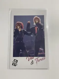 騎士A 騎士X ばぁう てると フォトカ