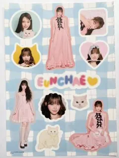 non-no11月号 付録　HONG EUNCHAE（LE SSERAFIM）